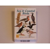 Heritage Playing Cards - Sea & Coastal Birds