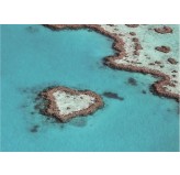 Enigma Brand 1000pc Jigsaw - Great Barrier Reef  (Made From 100% High Quality European Blue Board From Holland)