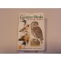 Heritage Playing Cards - Garden birds Of Britain